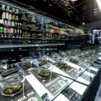 Embracing the Future: Top Design Trends for New Dispensaries to Compete in the Industry